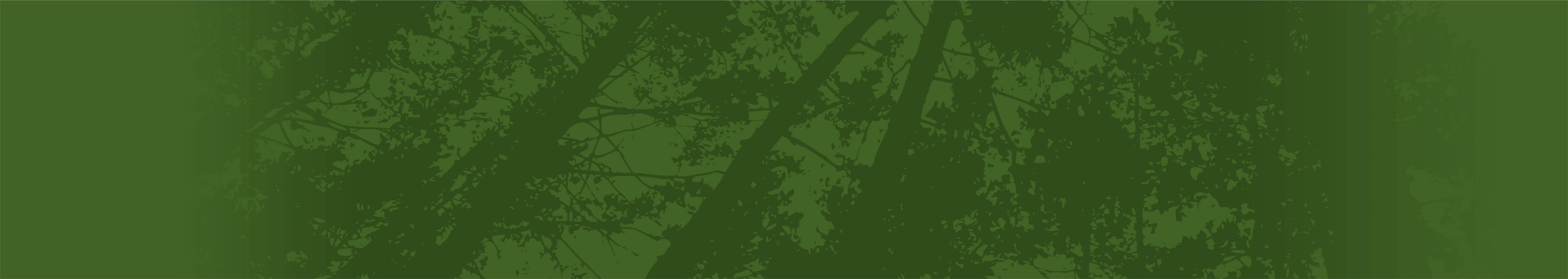 footer-bg